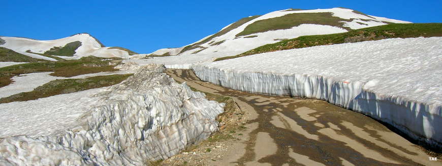 Coming up on Engineer Pass on the first day of summer