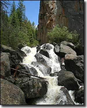A view of Sarvis Creek