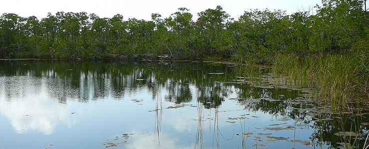 Blue Hole on Big Pine Key