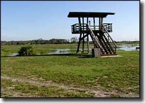 An observation platform at Loxahatchee National Wildlife Refuge