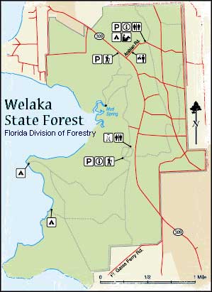 Map of Welaka State Forest
