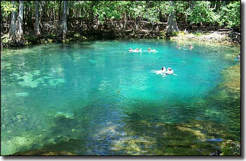 Swimmers in the spring