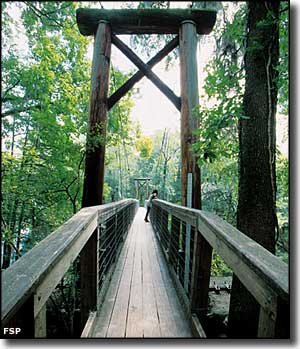The suspension bridge across the Santa Fe River