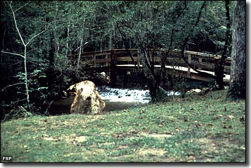 The spring flows under a footbridge at Ponce de Leon Springs State Park