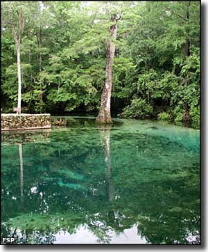 The spring basin at Ponce de Leon Springs State Park