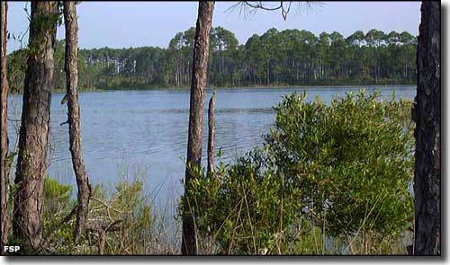 Morris Lake