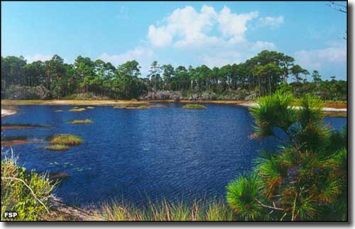 Campbell Lake at Topsail Hill Preserve