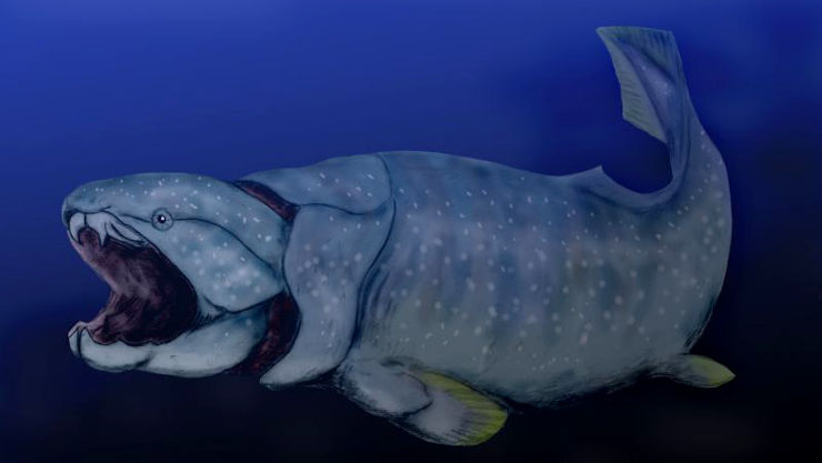 Dunkleosteus: an armored fish from the Devonian An image of a Dunkleosteus