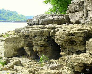 Devonian fossil beds on the Ohio River Fossil beds from the Devonian on the Ohio River