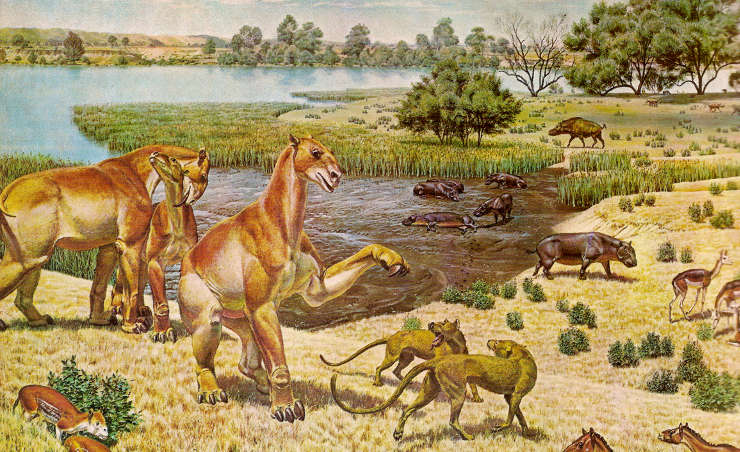 Image of mammals during the Miocene Epoch of the Cenozoic Era
