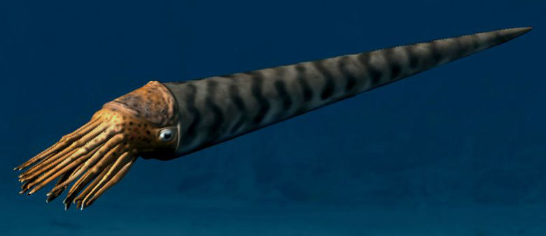 Artist's rendition of an orthoceras from the Ordovician Period