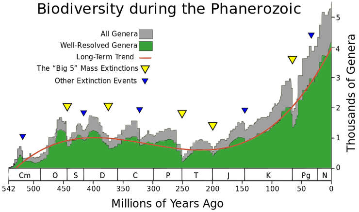 Chart showing levels of biodiversity among the different geologic ages