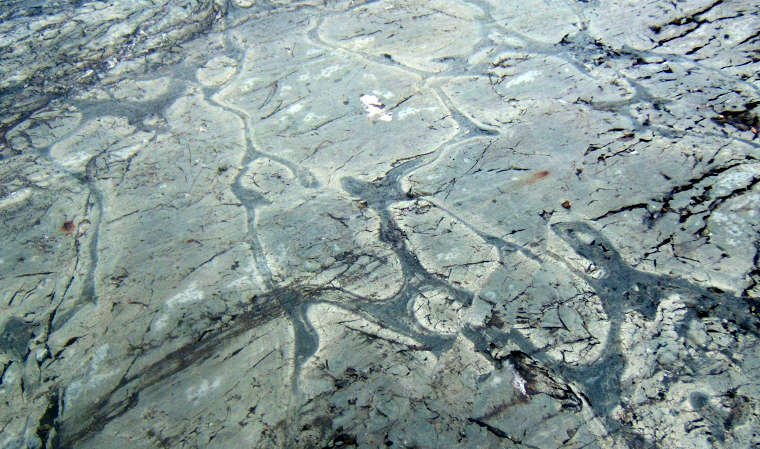Weathered pillow lava from the Canadian Shield