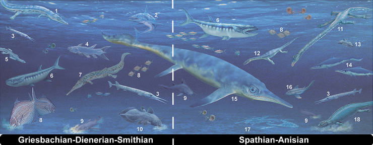Image of various marine predators of the Triassic Period
