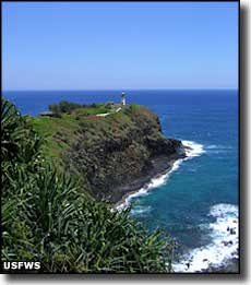 Kilauea Lighthouse