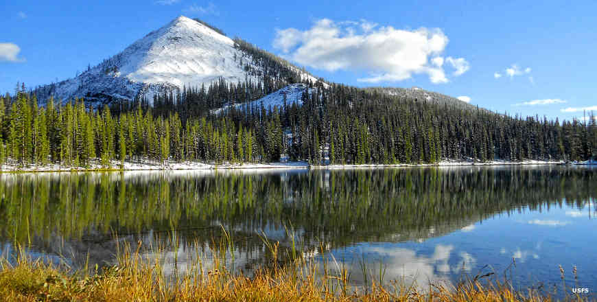 We did not find results for: Payette National Forest Idaho - Payette National Forest Idaho
