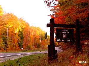 Sign marking a boundary of Hiawatha National Forest, surrounded by large stands of multicolored trees in the fall