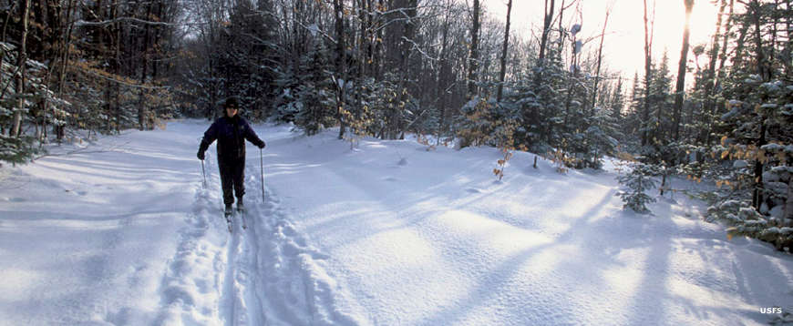 Hiawatha National Forest in the winter