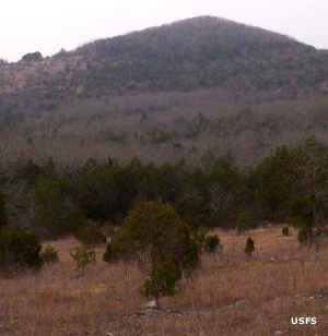 Looking across the hills and forest of the wilderness area