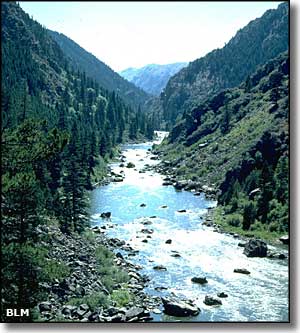 Bear Trap Canyon