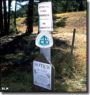 A view in the Centennial Mountains