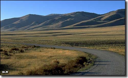 A view in Centennial Valley