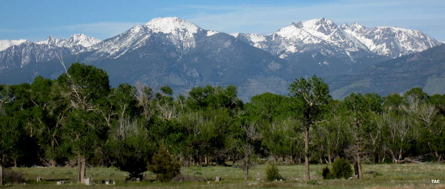Map Of Montana National Forests