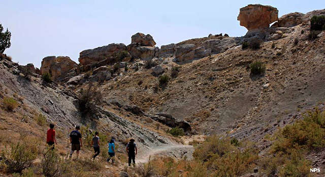 Fossil Ridge area, Dinosaur National Monument