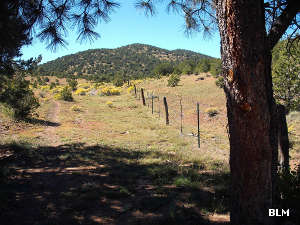 A view along the CDNST