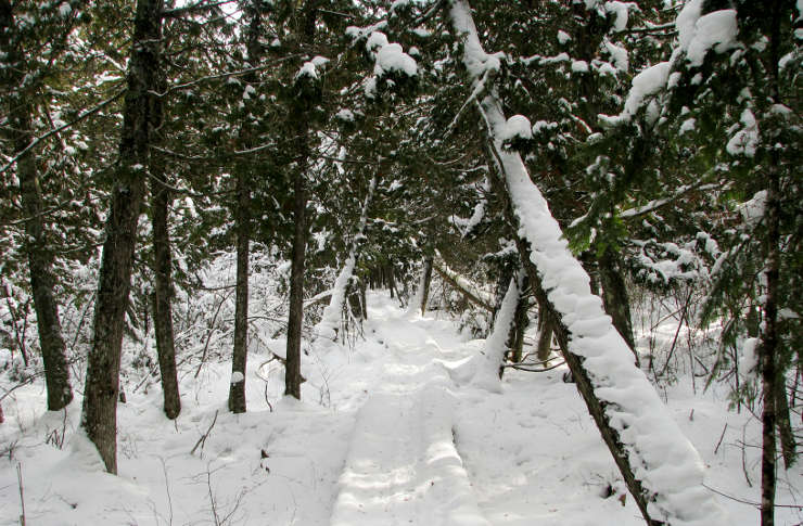 A winter view along the North Country National Scenic Trail in Wisconsin
