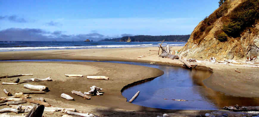 Where Mosquito Creek meets the Pacific Ocean