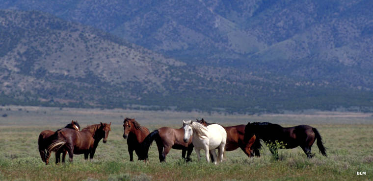 A typical view along the Pony Express National Historic Trail