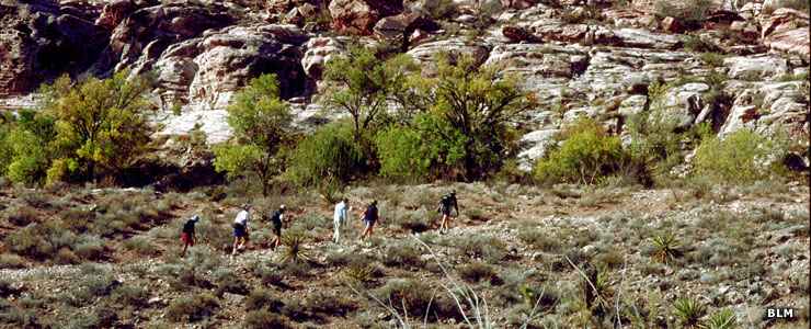 In Red Rock Canyon National Conservation Area