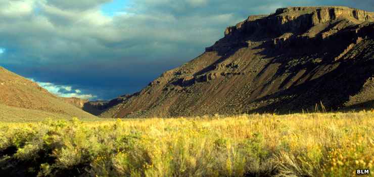 Looking up the floor of a canyon in High Rock Canyon Wilderness
