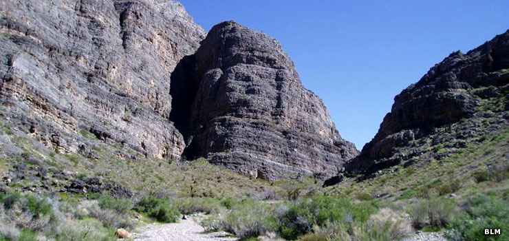 In the Meadow Valley Range Wilderness