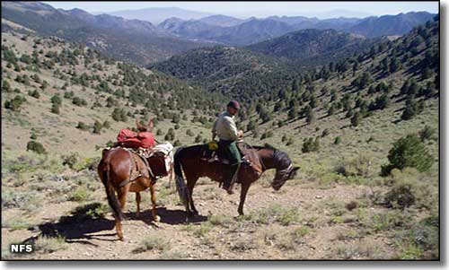 On a trail in Arc Dome Wilderness