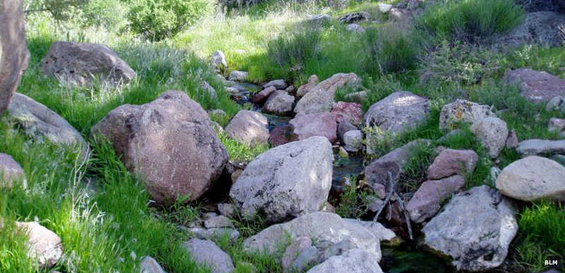 A flowing stream in Meadow Valley Range Wilderness