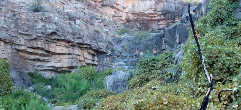 A canyon with small waterfalls in the wet season at Meadow Valley Range Wilderness