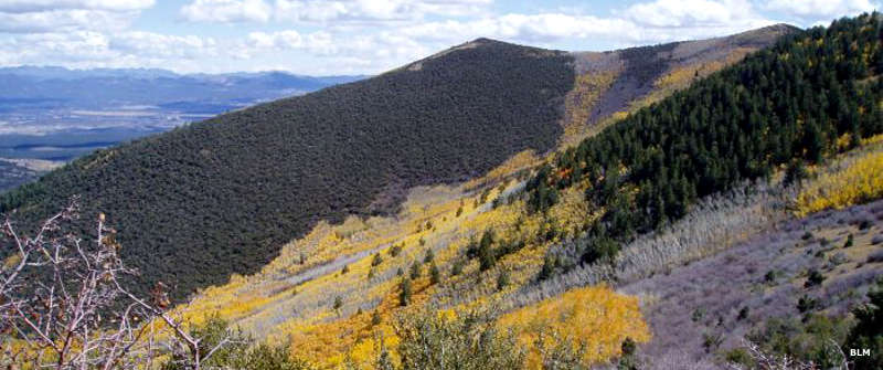 Looking across the slopes with aspens in fall color