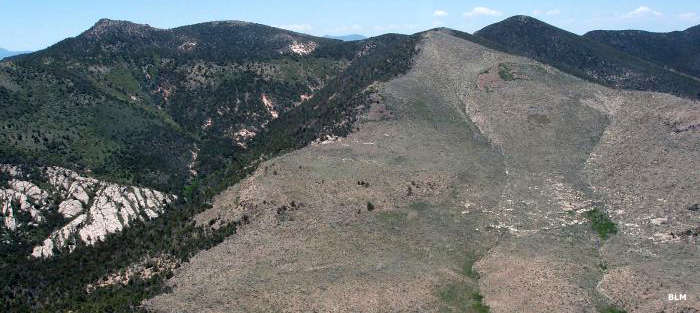An aerial view in Parsnip Peak Wilderness