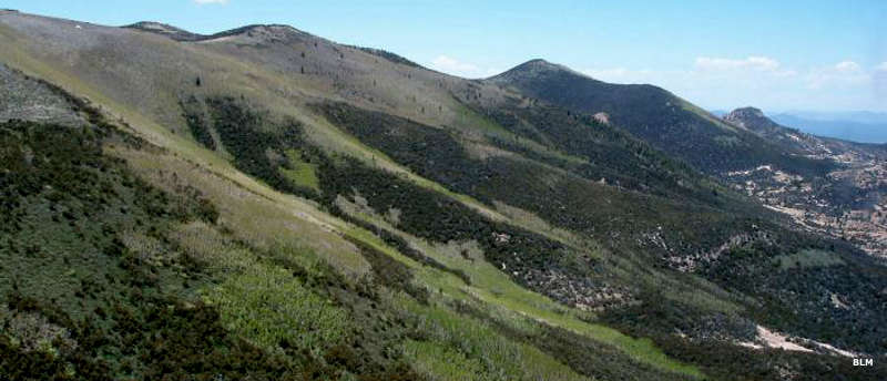An aerial view across the side of the range in Parsnip Peak Wilderness