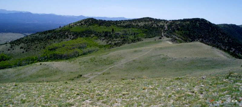 A view of a trail at the top of the hill in Parsnip Peak Wilderness
