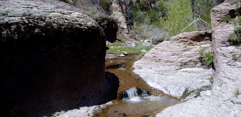 A flowing stream in Parsnip Peak Wilderness