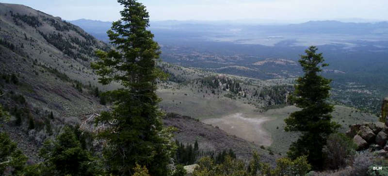 Looking over a dry pond in White Rock Range Wilderness