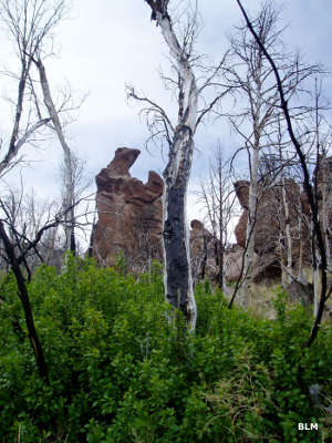 Rock formations in White Rock Range Wilderness