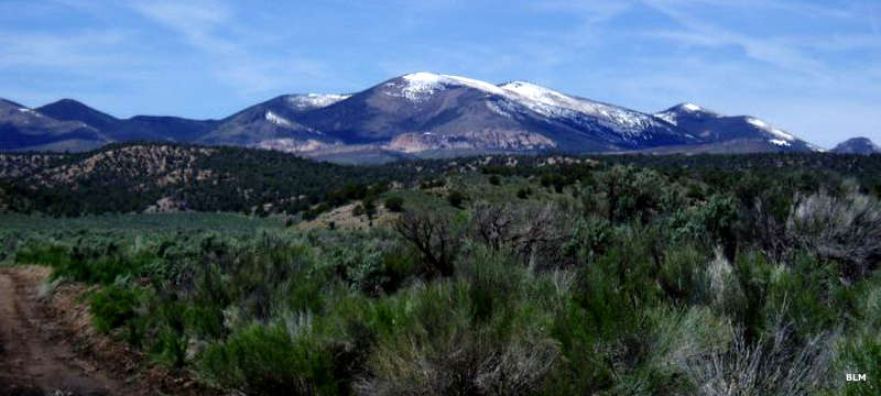 Looking across the desert to a snow-capped peak