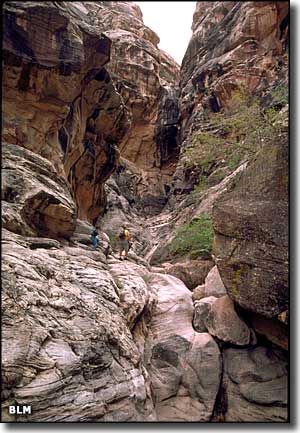 A view along the Red Rock Canyon Scenic Byway