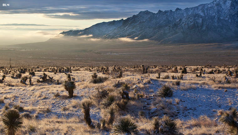 A distant virw from Aguirre Spring Campground