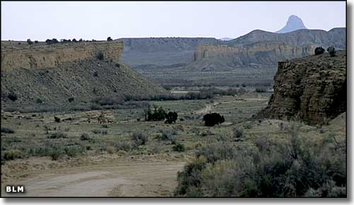 A view of Rio Puerco