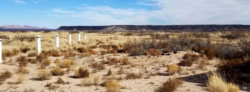 The view north across the Rio Grande Valley to the lava mesa that stood above Valverde